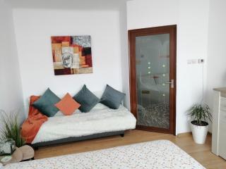 Medeea Studio - Alba Iulia - 9