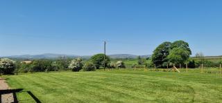 Robin Cottage Sleeps 2 Dog Friendly cottage 40 acres of grounds and woodlands Fishing Lake Swimming Pool - Llanboidy - 8