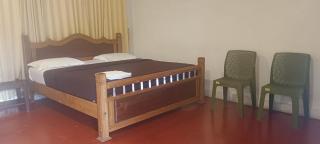 Whispering Pinewoods - 7