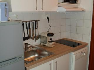 Studio climatisé, proche Thermes, animaux admis - FR-1-503-87 - Balaruc-les-Bains - 4