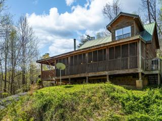 Woodland Wonder with Hot Tub and Pool Table - 7