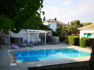The Iconpainter Peroulia Villa - 7