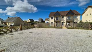 Crevette rose à 100m de la plage de sable de Surtainville - 9