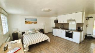 Crevette rose à 100m de la plage de sable de Surtainville - 8