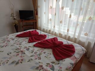 Casa Sahar - Turda - 3