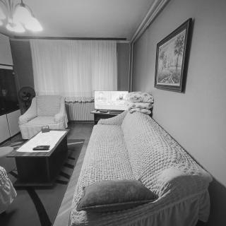 Apartman Icić - Pirot - 1