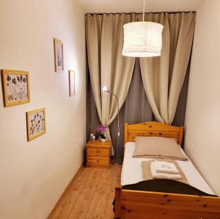 Mountain top, 2 apartments, 15people, 1130-1345ft2, free parking, new kitchen, renovated bathroom, high-speed internet - Schonach - 2