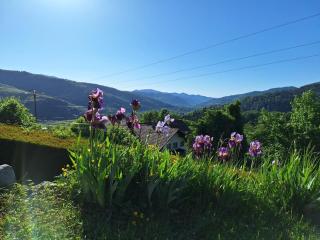Les hauts du Schliffels - Fellering - 5