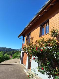 Les hauts du Schliffels - Fellering - 7