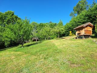 Les hauts du Schliffels - Fellering - 4