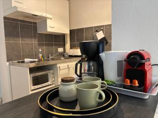 Studio garden and serenity, near Eurexpo and GroupamaStadium - Saint-Priest - 2