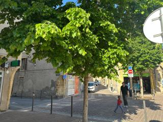Le Graoully - Metz - 8