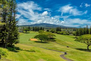 Kapalua Golf Villas 15P5-6 by Coldwell Banker Island Vacations - Kapalua - 6
