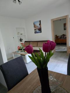 Apartman Jelena - Kotor - 6