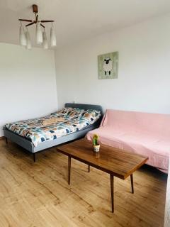 Church view apartment - Kaunas - 7