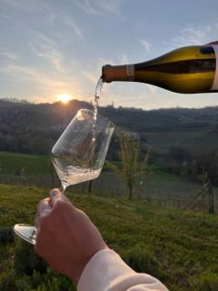 Le Cornici - Cascina di Charme - Diano dʼAlba - 4