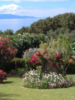 SEA LOVE,Appartment by the sea - Mesochórion - 4