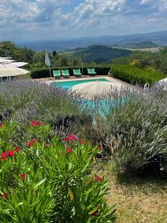 The Olive House - Panzano - 0