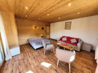 Résidence Beau Sejour - Appartement avec vue dégagée, situation idéale MAE-7571 - Les Gets - 1