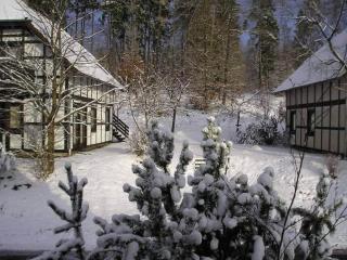 Chalet in Frankenau nahe Skipisten & Edersee - 5