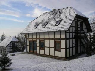 Chalet in Frankenau near Ski Slopes & Edersee - Frankenau - 6
