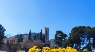 Suite Chiara - Oria - 9