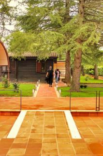 Rifugio DiVino - Dormire in una Botte - Esperienza unica di Glamping - Castelfranco - 2