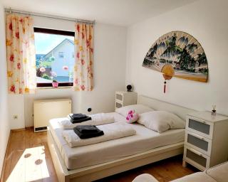 Mountain top, 2 apartments, 15people, 1130-1345ft2, free parking, new kitchen, renovated bathroom, high-speed internet - Schonach - 6