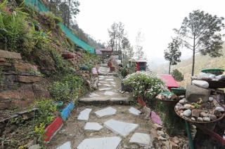Hotel O Tara Aanchal Huts - Chhota Simla - 0