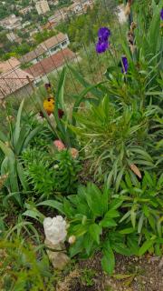 Le Jardin des Oliviers - Apt - 2
