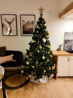 Le chaleureux loft 1 minute du tram - Lingolsheim - 9