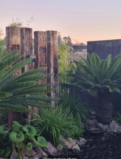 Bach22 Rustic Romantic getaway - Te Puna - 8