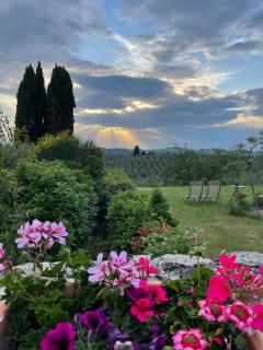 The Olive House - Barberino di Val dʼElsa - 1