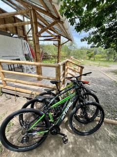 Bosque Seco Bioreserva & Hostel - 1