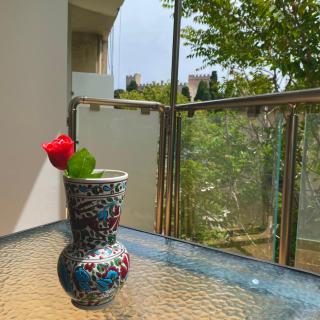 SEAL of Deer - Castle View - 5 minute walk to the Beach - 3