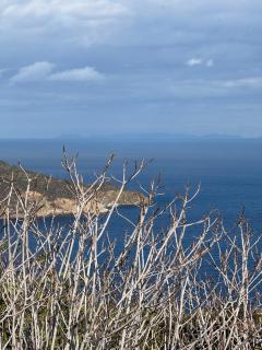 Papous house - Mesochórion - 4