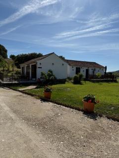 Finca Santa Teresa, Casa La Higuera - Casares - 7