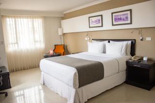 Sonesta Hotel Cali - Cali - 7