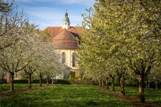PRE OPENING! Erlenbad Suites - Exklusive Residenz bei Baden-Baden an der Schwarzwaldhochstraße - Obersasbach - 3