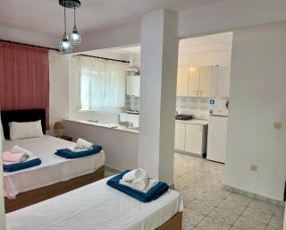 PELEKAN rooms and apartments athina 11 - 4