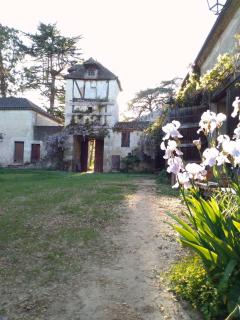 Apartment in a Renaissance castle - Layrac - 7