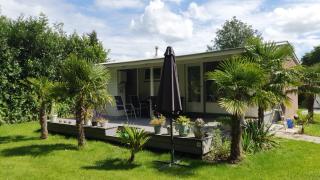 Palm tree house - Lemmer - 1