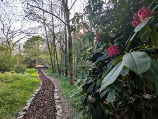 Bluebell Hideaway - Llanfair Clydogau - 9