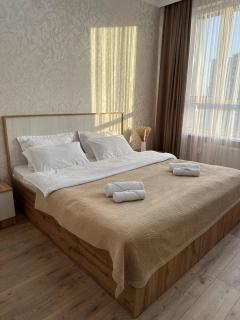 Евродвушка в районе Экспо и Ботанического сада - Astana - 9