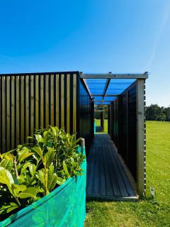 Forest Edge Glamping - 7