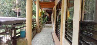 Twin hearts Resort Pool Cabin 3 - - 9
