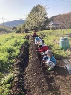 竜野園藝 - Kamimashiki - 4