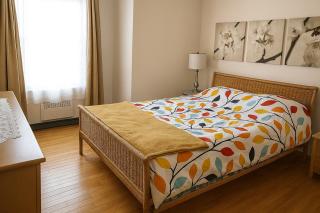 Sunny & Peaceful 1BR, Walk to UdM, HEC & Hospital - Montréal - 9