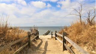 Coles Cove - Pet Friendly! - Villas - 0