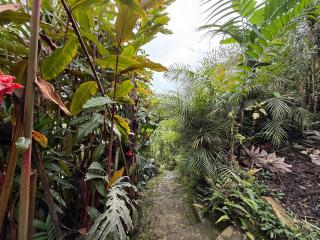 Casa Aluna Sierra Nevada - Santa Marta - 3